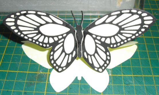 vlinderkaart dubbel…